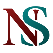 Nechanicky Solutions logo